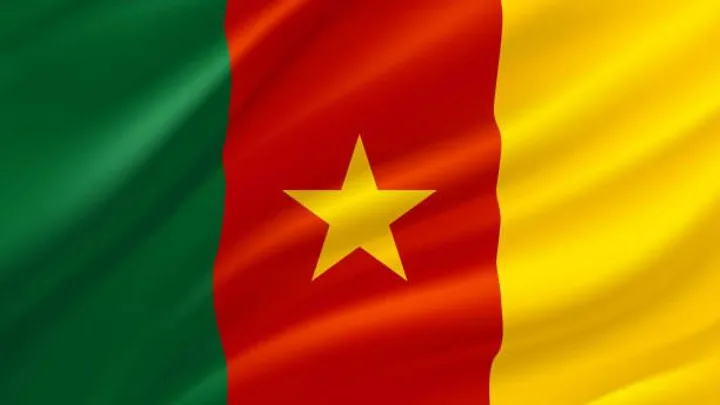 🇨🇲 Qui sera le prochain président ?